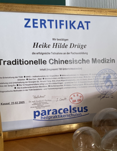 Zertifikat Traditionelle Chinesische Medizin